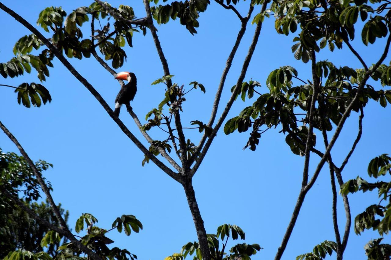 Vila Dos Cristais Alto Paraíso de Goiás Zewnętrze zdjęcie