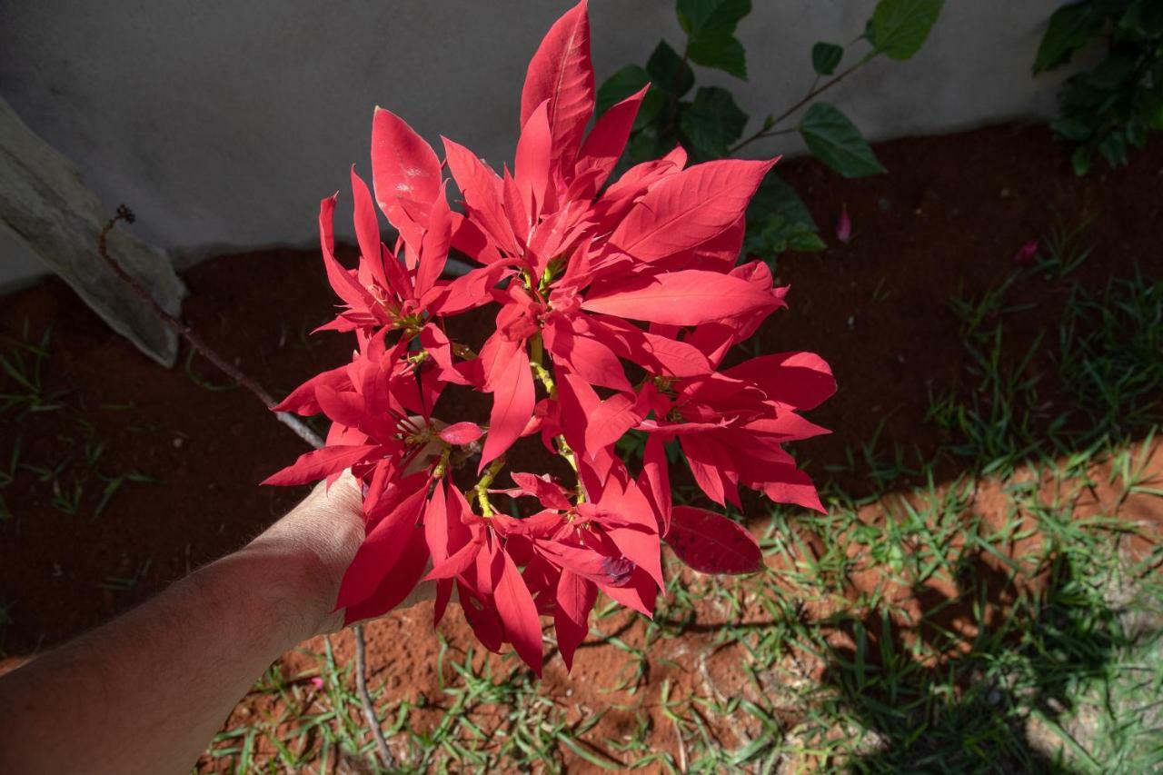 Vila Dos Cristais Alto Paraíso de Goiás Zewnętrze zdjęcie