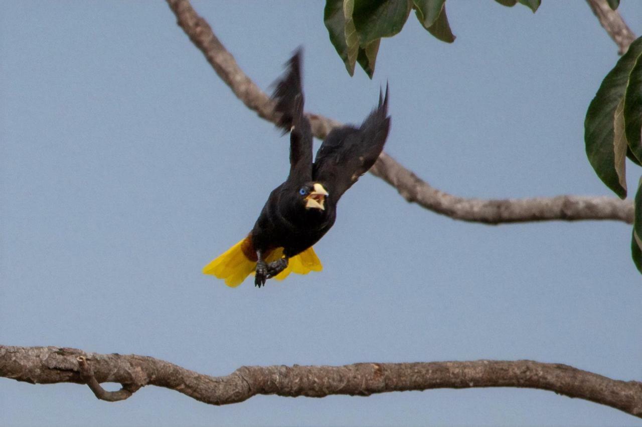 Vila Dos Cristais Alto Paraíso de Goiás Zewnętrze zdjęcie