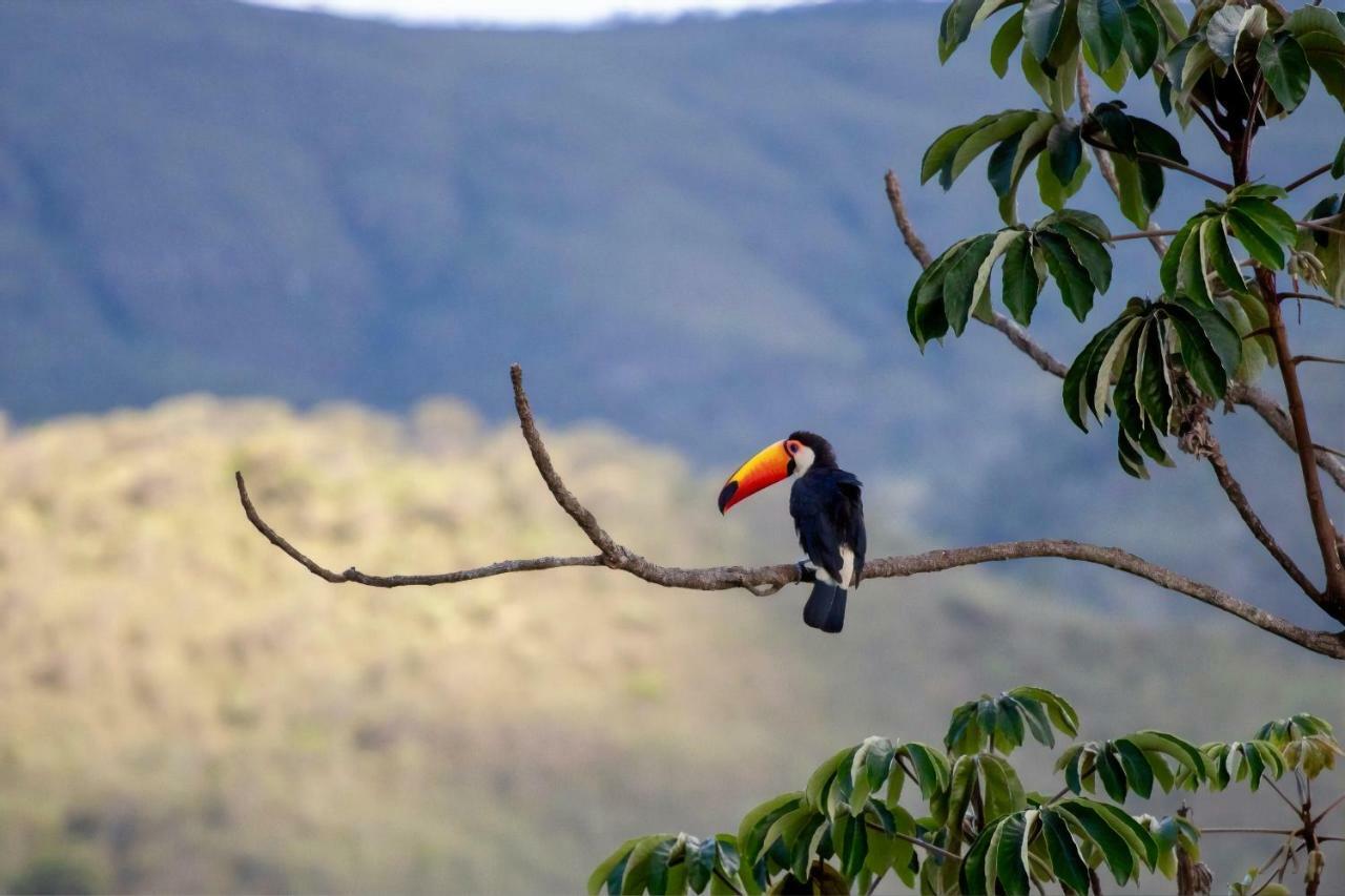 Vila Dos Cristais Alto Paraíso de Goiás Zewnętrze zdjęcie