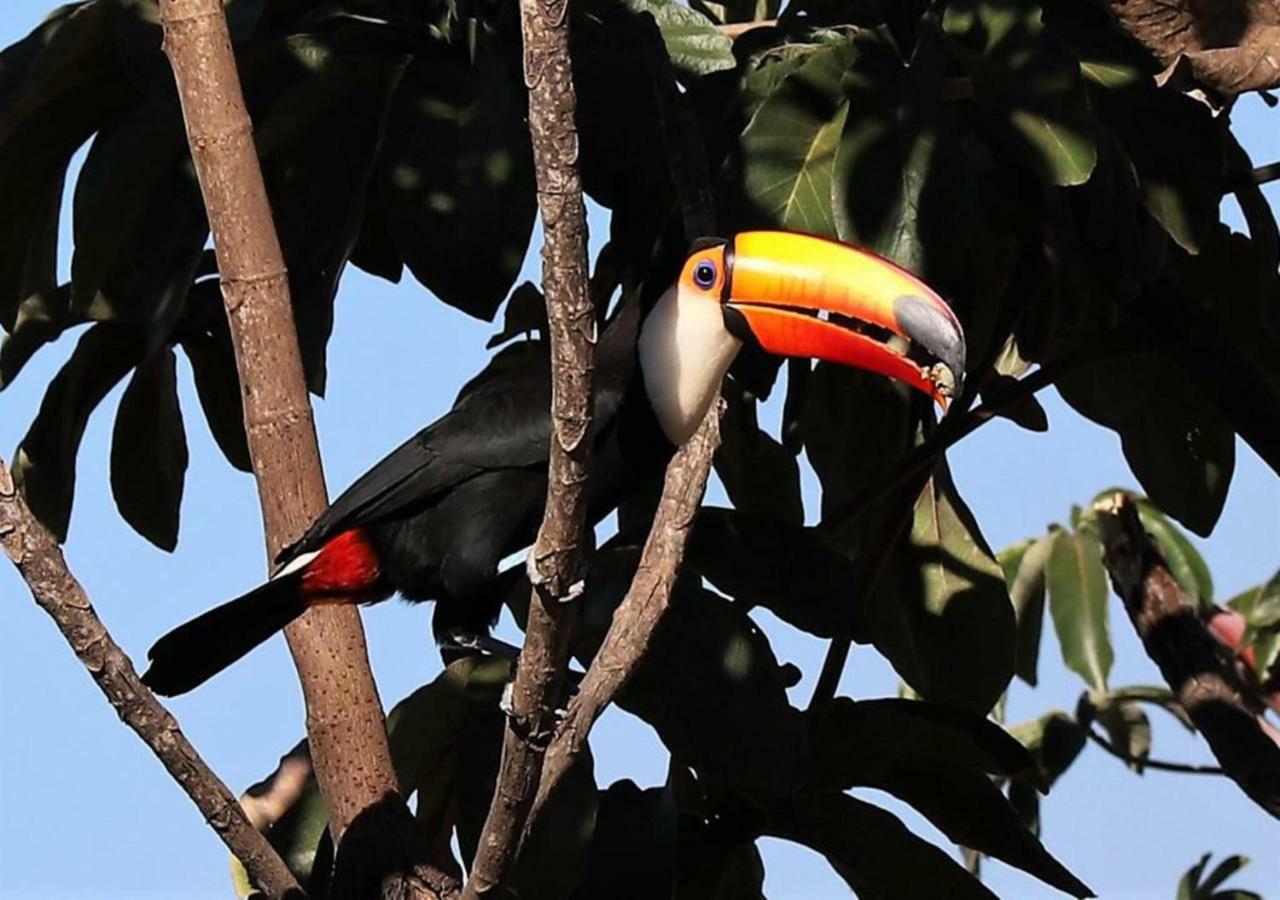 Vila Dos Cristais Alto Paraíso de Goiás Zewnętrze zdjęcie