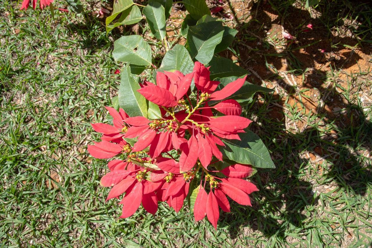 Vila Dos Cristais Alto Paraíso de Goiás Zewnętrze zdjęcie