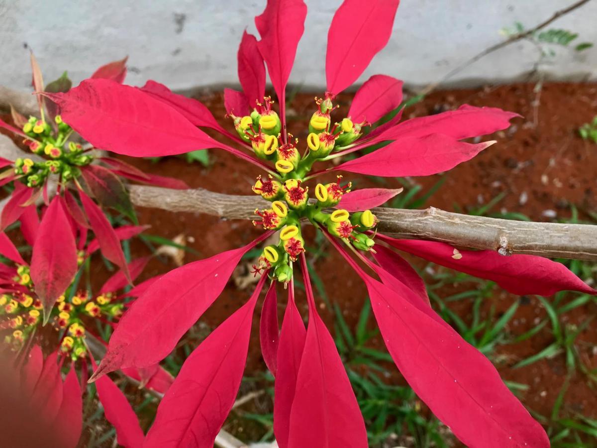 Vila Dos Cristais Alto Paraíso de Goiás Zewnętrze zdjęcie